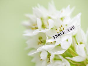 コンタクトのおすすめ激安通販サイト