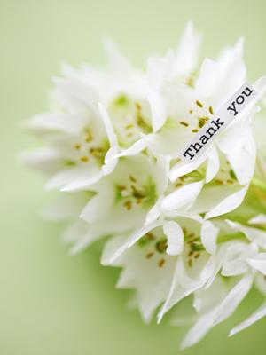 交通標識の種類と意味を理解！安全運転に役立つ情報を解説